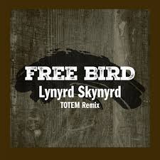 دانلود اهنگ free bird lynyrd skynyrd remix