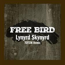 Free Bird - Lynyrd Skynyrd (Totem Remix)